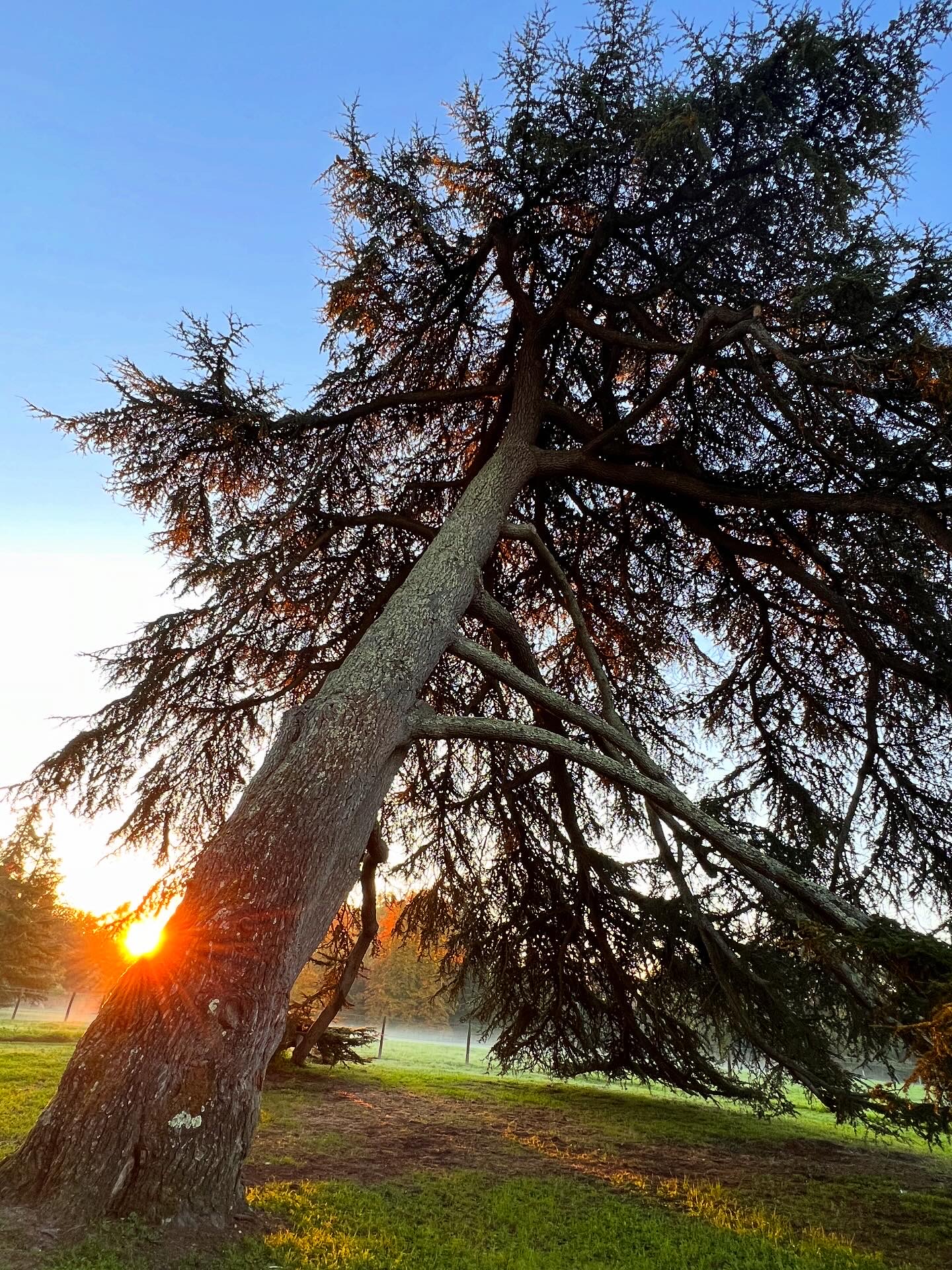 13a5598b d4ea 45e8 888f 9bbfe589514e