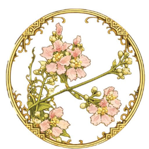 cropped logo tam.png